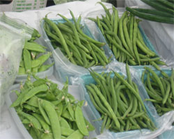 Green Beans Ozark Slow Food